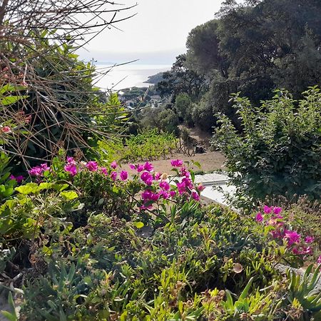 Villa Gualdo Piscina Vista Mare 卡波利韦里 外观 照片