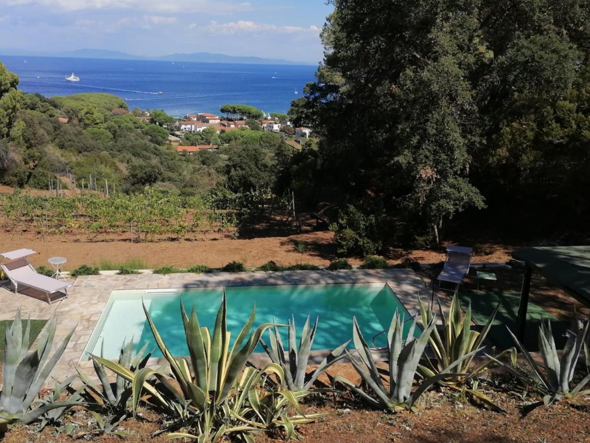 Villa Gualdo Piscina Vista Mare 卡波利韦里 外观 照片