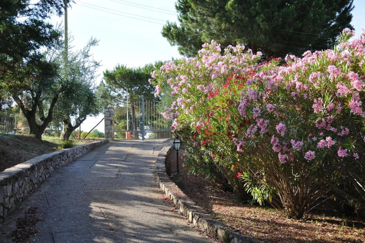 Villa Gualdo Piscina Vista Mare 卡波利韦里 外观 照片